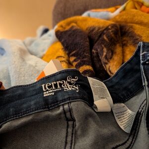 Terra And Sky Dark Blue Jeans